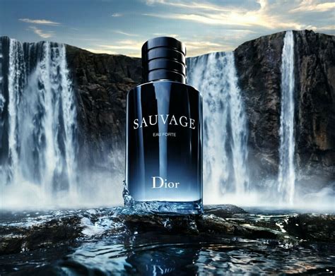 sauvage dior perfum meski|sauvage eau forte dior.